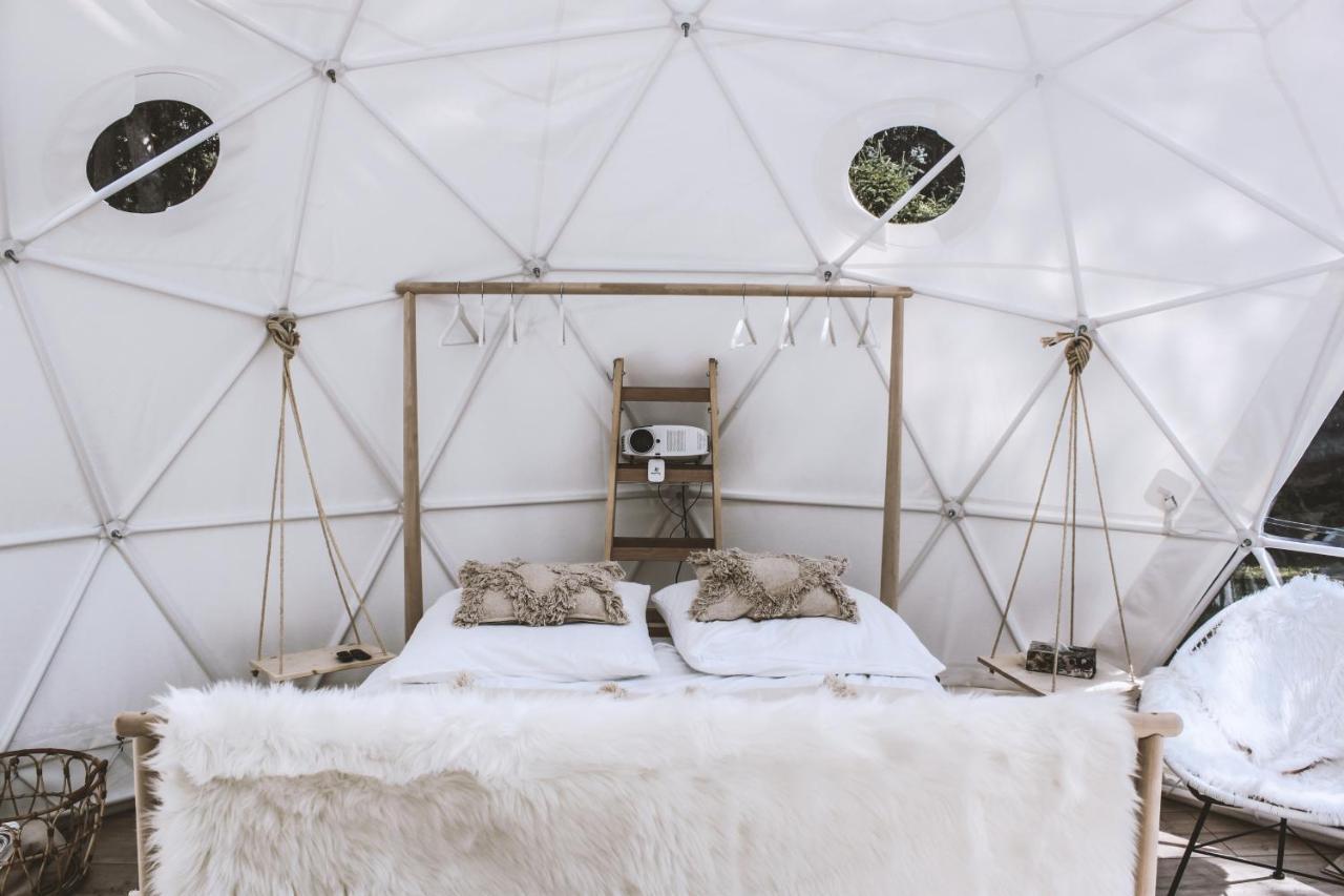 B Our Guest At Your Cozy Hideaway Dome Near Dresden Frauendorf  المظهر الخارجي الصورة
